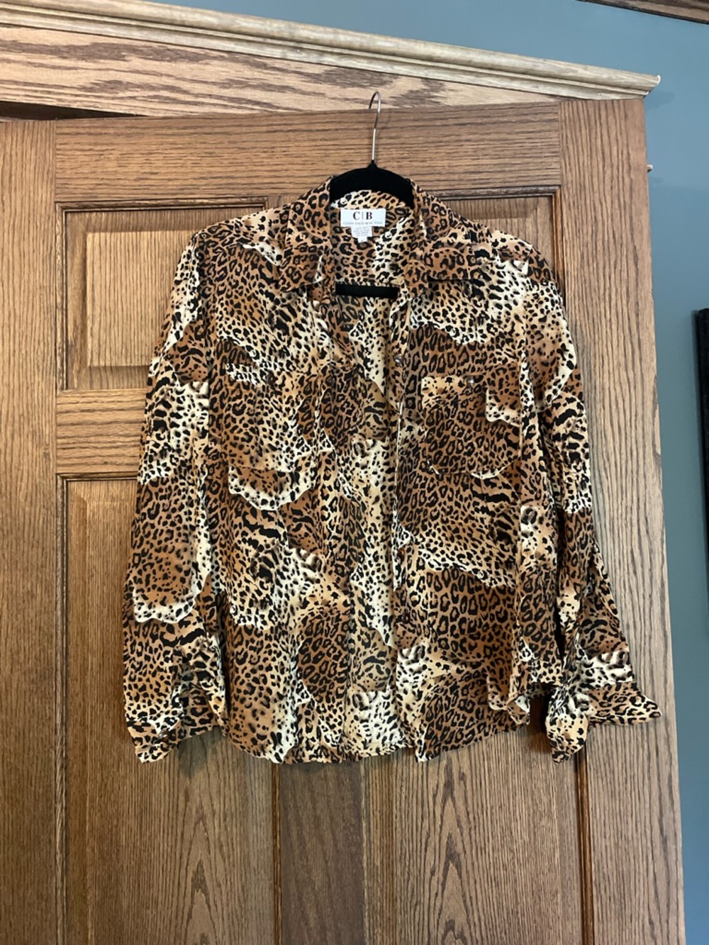 Leopard Print Button-Down Shirt in Brown/Cream
